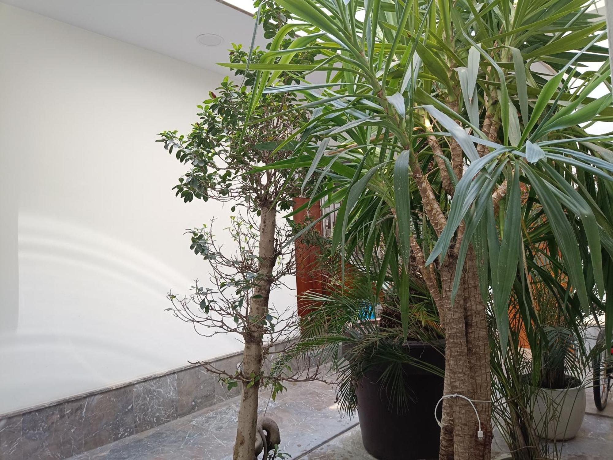 Apartamentos Luxury Puente De Triana إشبيلية المظهر الخارجي الصورة
